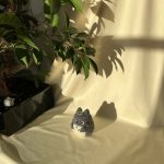 Móc khóa Totoro bằng len handmade